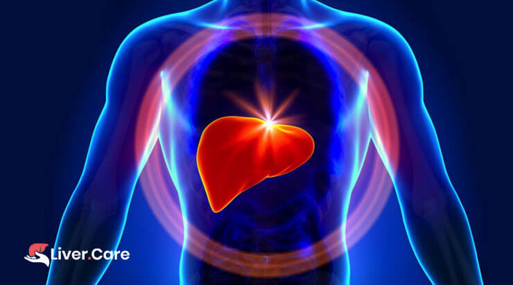 Know your liver