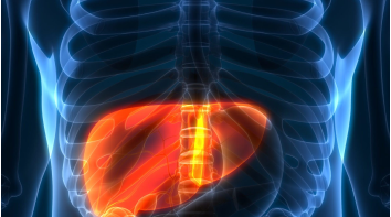 Know your liver