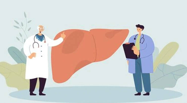 Know your liver