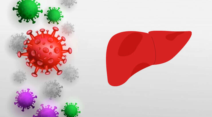 Know your liver